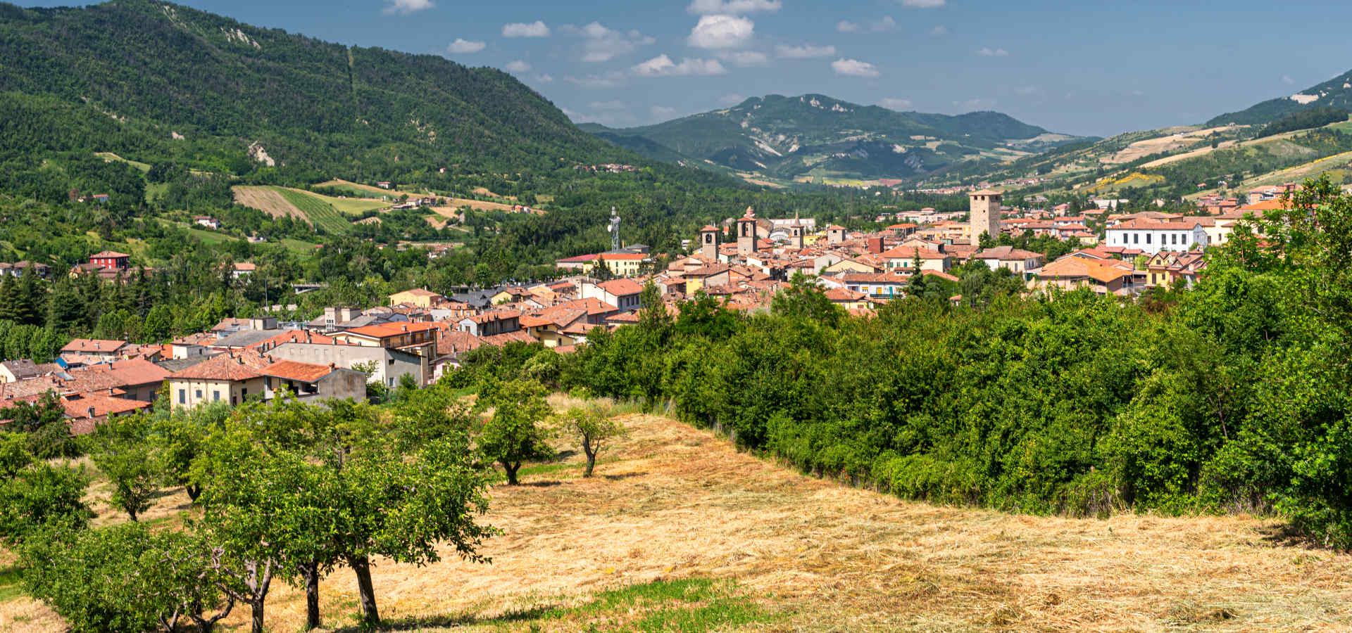 Residenzia Sanitaria per Anziani